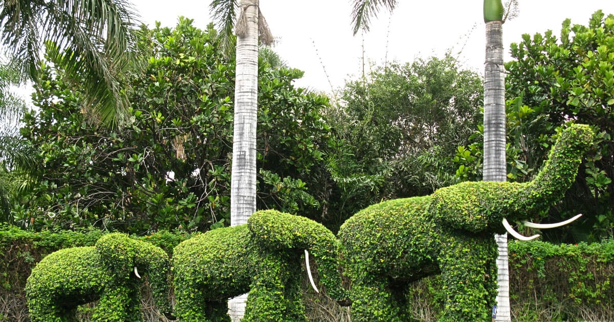 Notes on Upgrading PostgreSQL